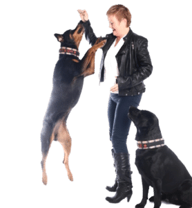 Bonus Canis - Anita Weinius